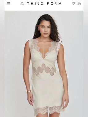 Third Form Visions Lace Mini Dress